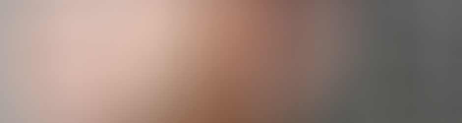 Executive Home Inspections