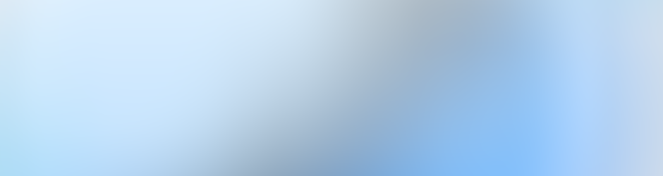 Job Placement Consultant