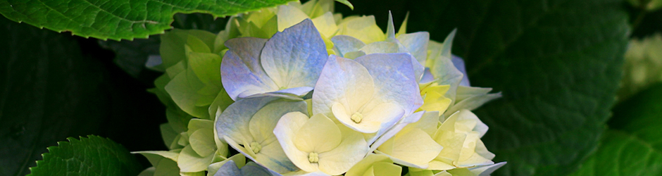 HATE VS INDIA'S LOVE