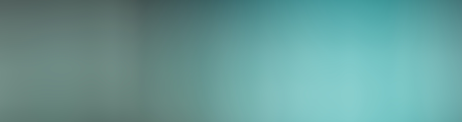 Digital Network Skygot