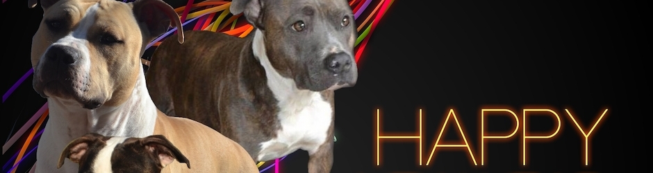 PureHappiness VanVlaslaer Laëtitia