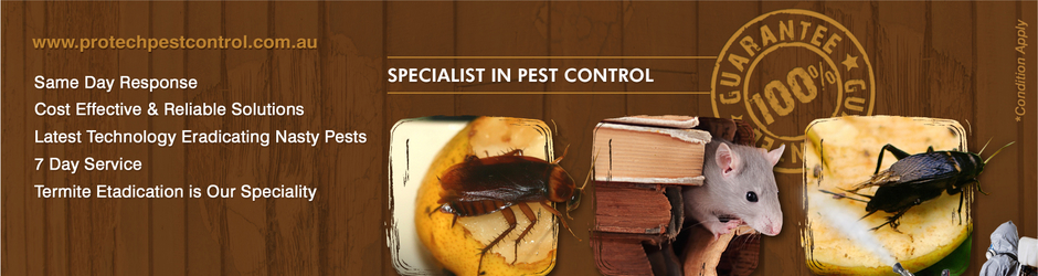 Protech Pest Control