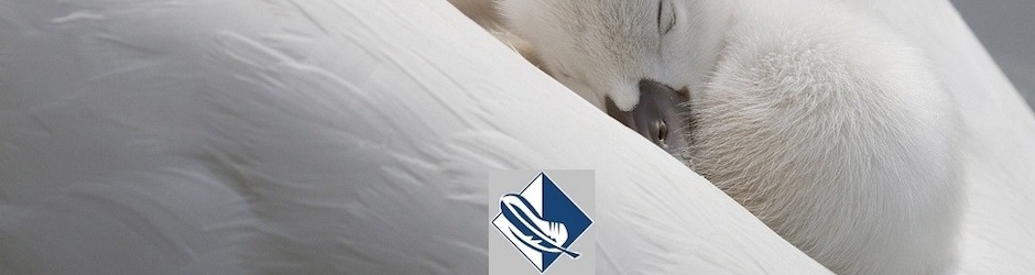 CASTEX couettes naturelles