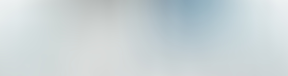 Renown Roofing & Construction