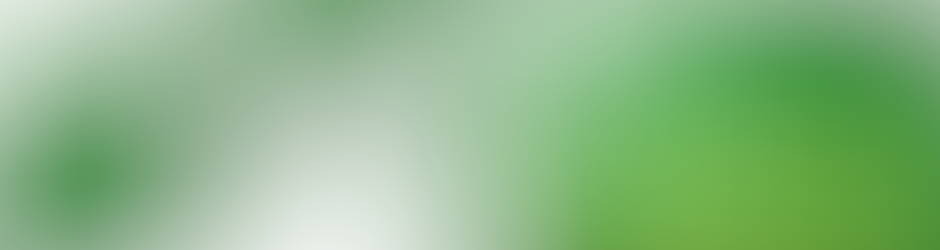 Naldoli Sat Antenas Radio e TV