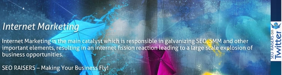 Seoraisers SEO Company in Chandigarh