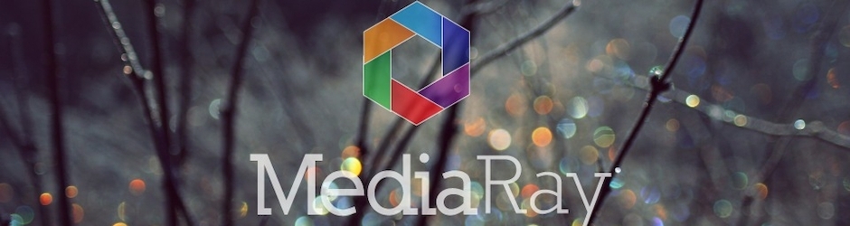 The Media Ray