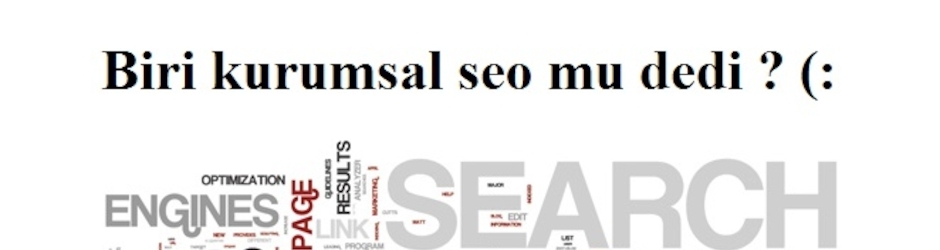 Seo danışmanı