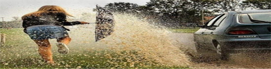 Did You Know Insights