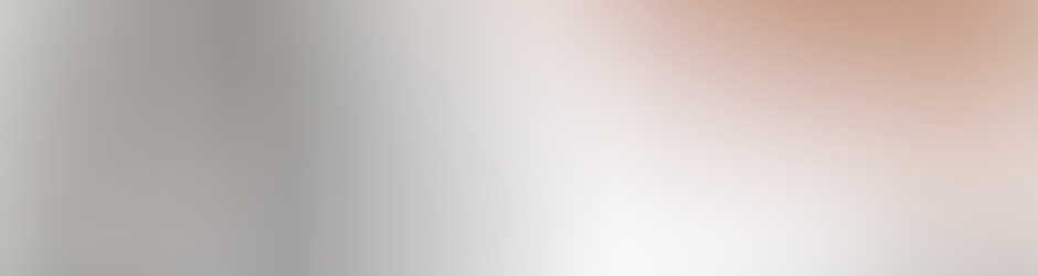 filler_sealer_packer