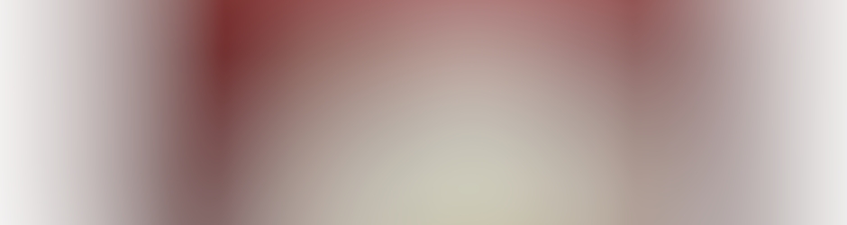 Efficient Lady's Organizer