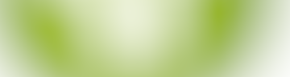 Holy City Catering Charleston, SC