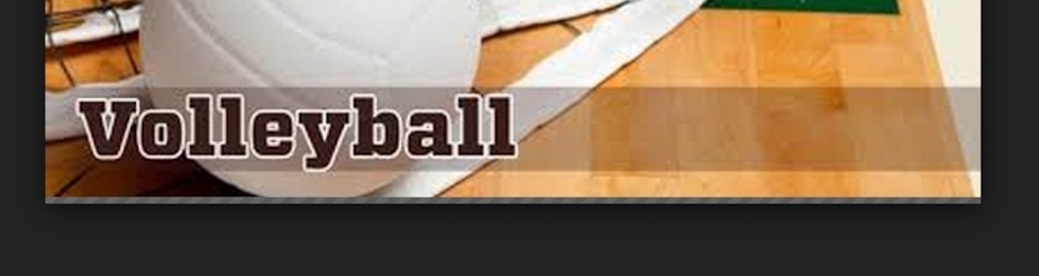 South Korea Volleyball