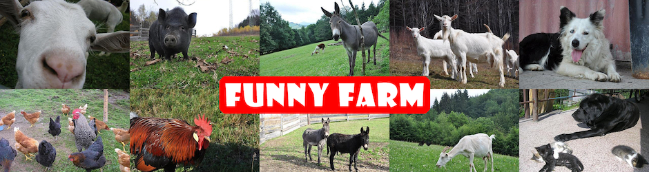 FunnyFarmChannel