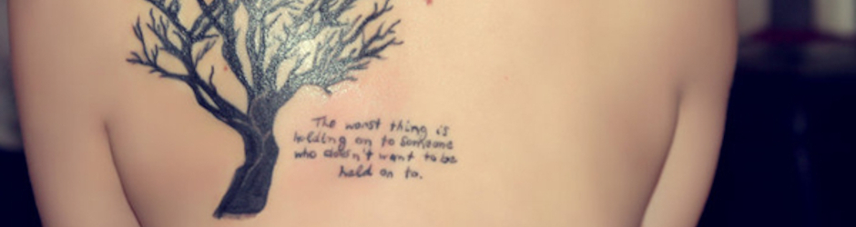 sports baseball 2015