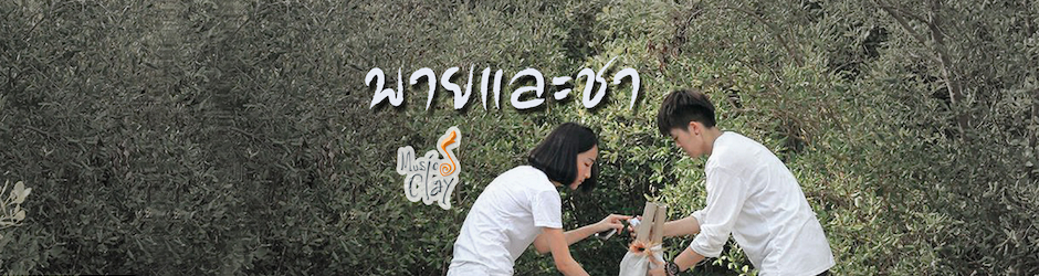 พายและชา