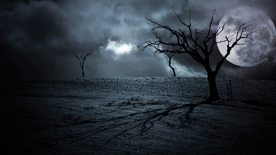 Reconquista Lusitana