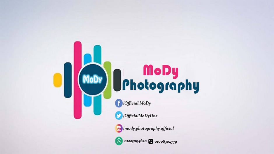 MoDy Media2