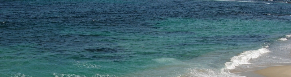 Pankaj Jha Deutsche Bank