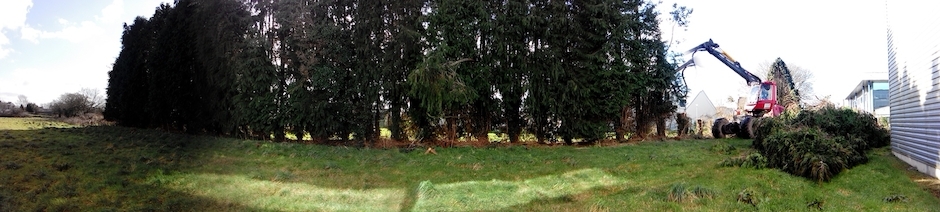 Travaux forestiers broyage Tom BLG