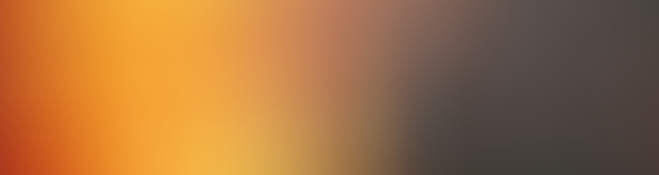 THE DAILY NEWS SHOW CH#4