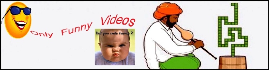 Only Funny Videos