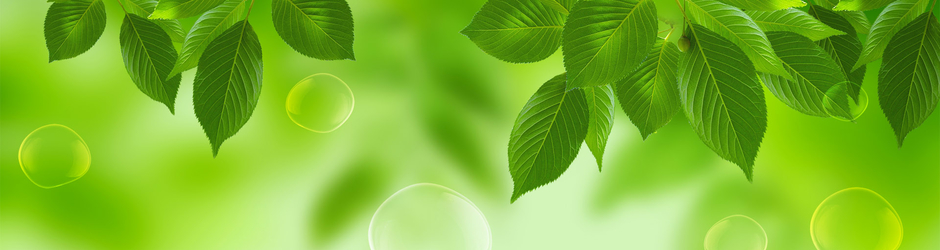 Share Official - Comedy & Film