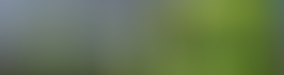 Axel Ghionna Zentaoui