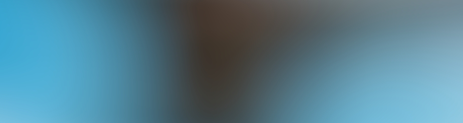 How To Train Your Dragon