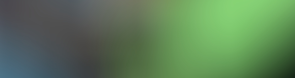 হিমেল নীরব