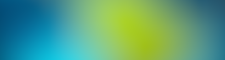 O Empreendedor Global