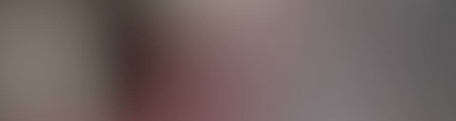 Flying Dragon Kung Fu