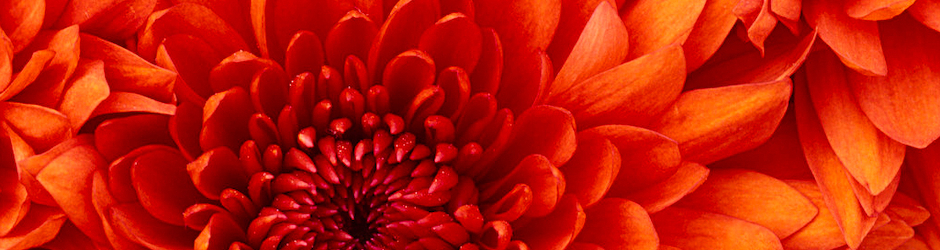 حكايات بنات 2