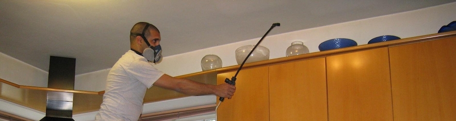 شركة العدوي