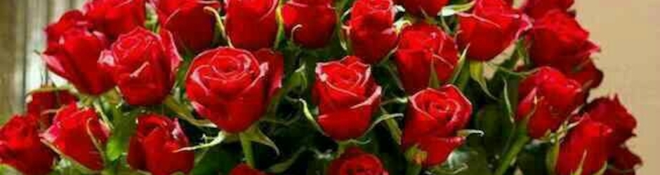 Eva  Leticia Rodriguez