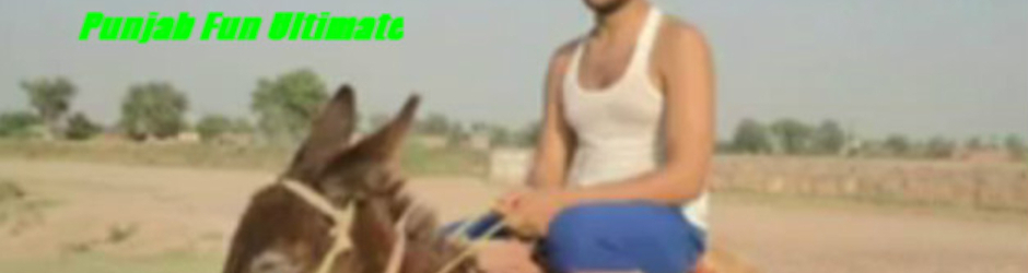 Punjab Funny Videos