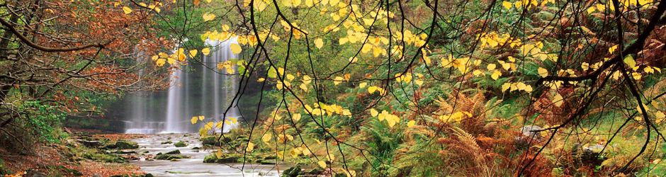 Relaxing Instrumental Music