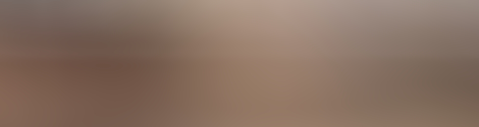 Momemence Chanel online