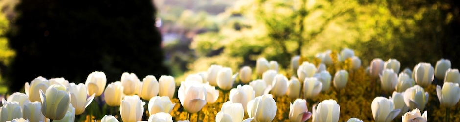 Fun Dynasty Warriors