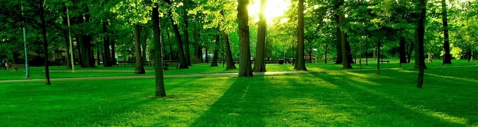 HD Videos Collection