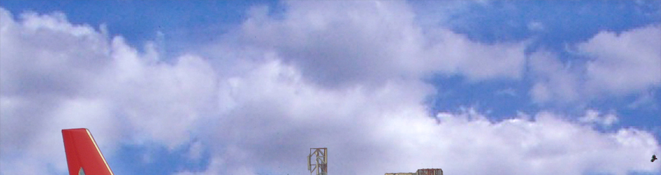 freeringtonesdownload