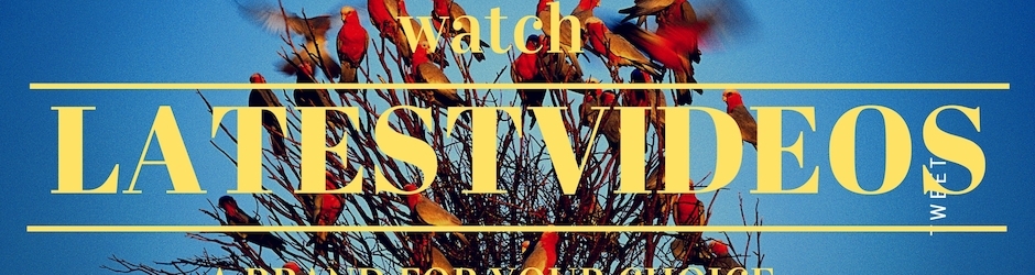 LatestVideos-tv