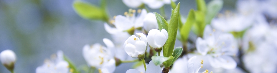 English Learning Tips