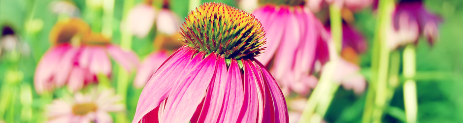 Muhammad Sadam Panhwar