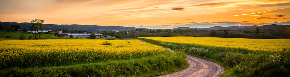 Christopherghigliotty