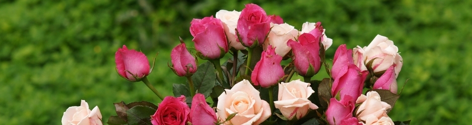 Ch Mohammad Shehbaz Mukhtar