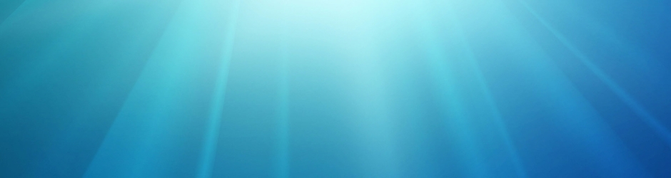 Cartoon cartoon fridays