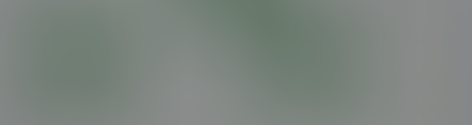 le chien le plus intelligent du monde