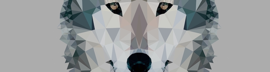 CRAYZEE it's CRAZY !