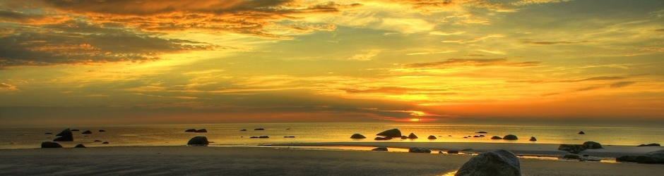 Pakistani Funny Clips